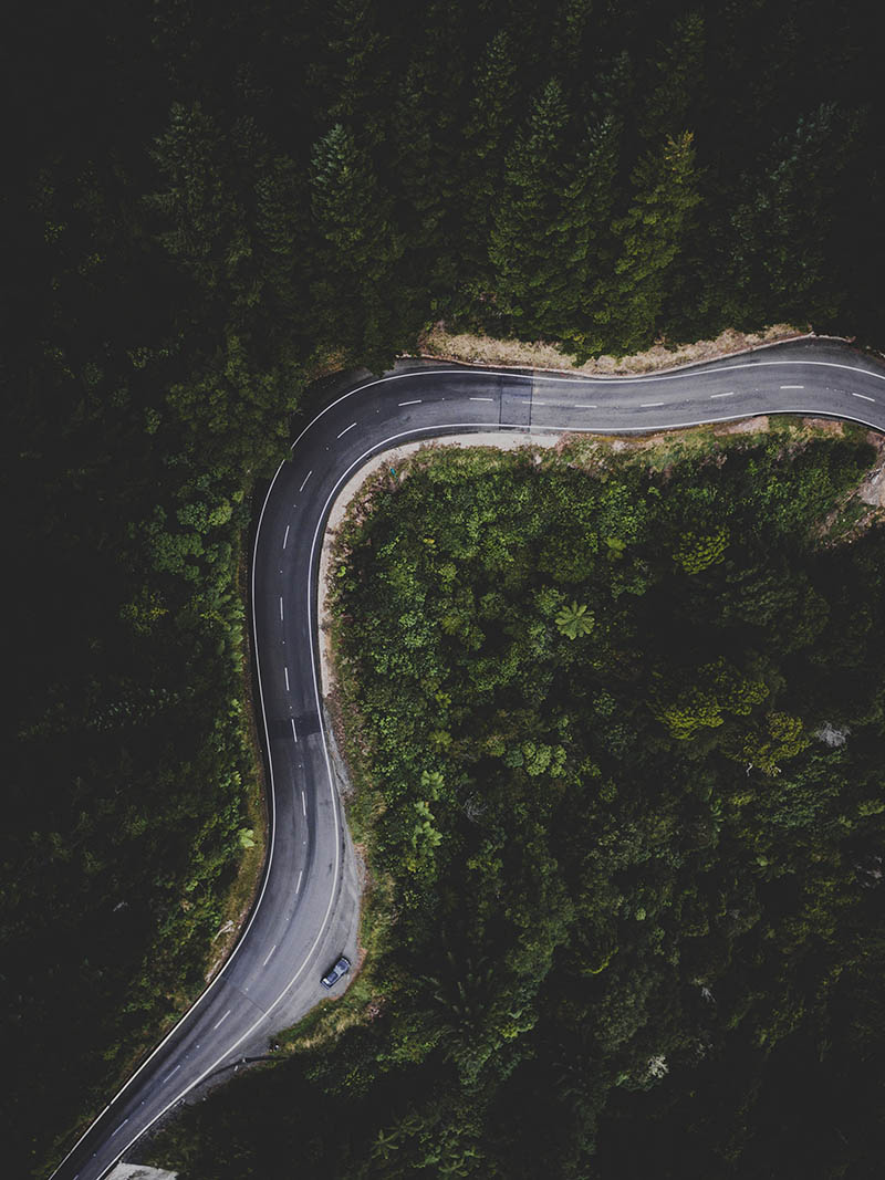 Aerial footage of winding road between rows of trees with a car driving on the road